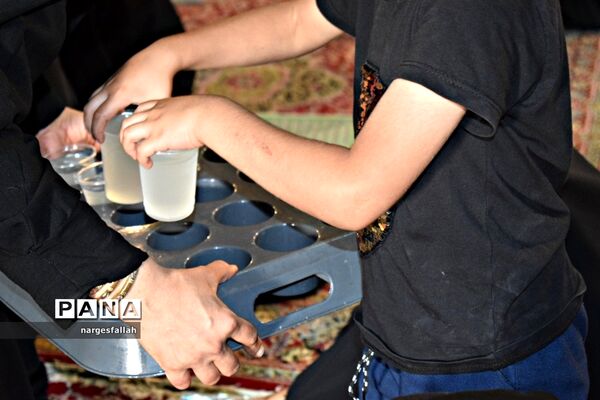 برگزاری هیات دانش‌آموزی دختران در ابرکوه