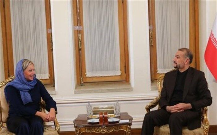 جنین پلاسخارت ادعای رایزنی درمورد انتخابات عراق را رد کرد