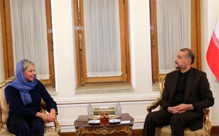 جنین پلاسخارت ادعای رایزنی درمورد انتخابات عراق را رد کرد