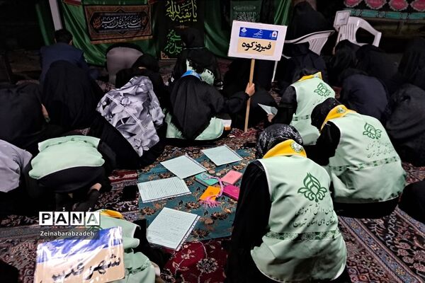 حضور دانش‌آموزان فیروزکوه در اردوی یاورمربیان دختر در شهر ری