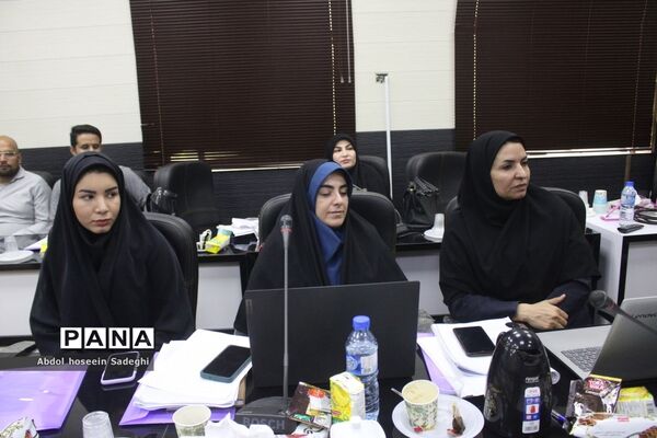 کارگاه ‌برنامه ملی توانمند‌سازی معلمان دوره ابتدایی  استان بوشهر