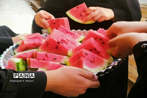 جلوه های عزاداری قشرهای مختلف مردم در مصیبت آل الله-2