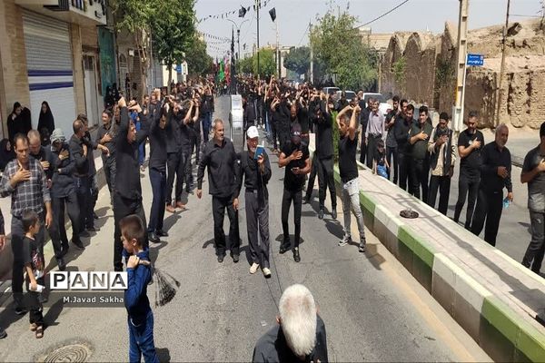 جلوه های عزاداری قشرهای مختلف مردم در مصیبت آل الله-2