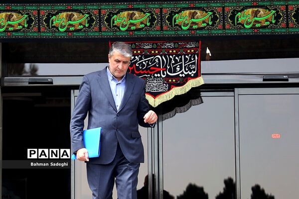 حاشیه جلسه هیات دولت