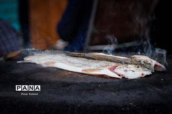 جشنواره ساج بالیغی