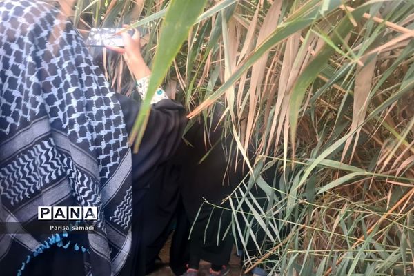 حال و هوای سفیران نور منطقه ۱۳ در راهیان نور جنوب