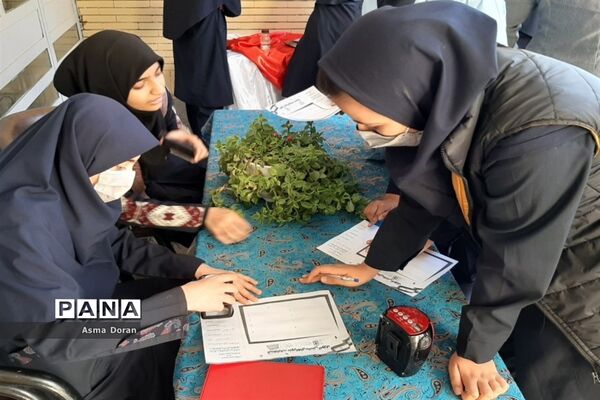انتخابات شورای دانش‌آموزی در دبیرستان حضرت زینب(س) ناحیه سه
