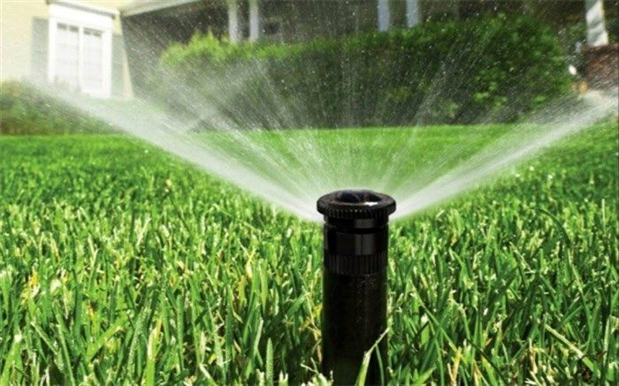 افزایش همکاری ایران در بخش آب و خاک کشاورزی با هند و کمیته بین‌المللی آبیاری و زهکشی