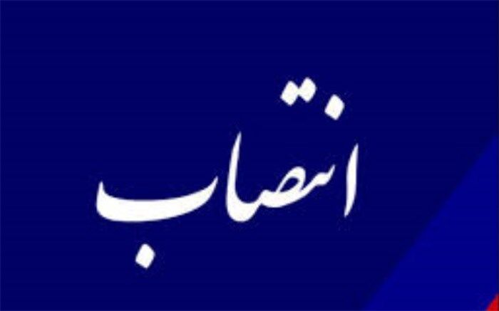 مشاور وزیر صمت در طرح نهضت ملی مسکن منصوب شد