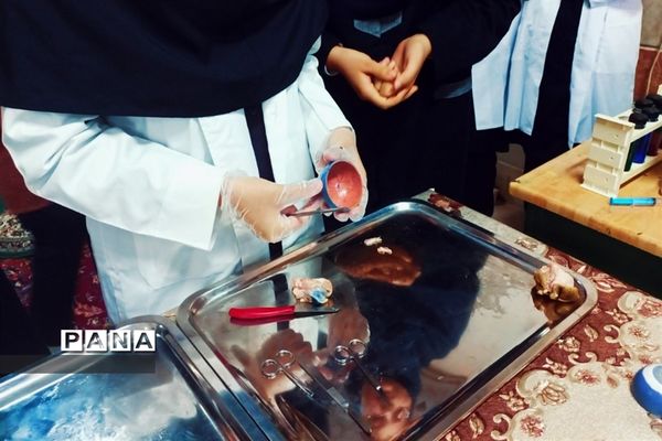 بازدید مسئولان و دانش‌آموزان از نمایشگاه آزمایشگاه زهره خبازی دماوند