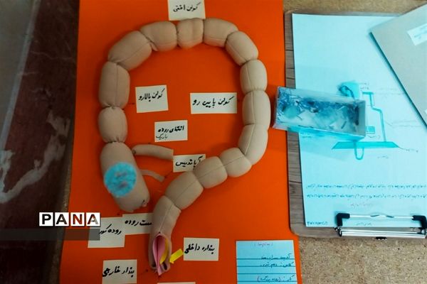 بازدید مسئولان و دانش‌آموزان از نمایشگاه آزمایشگاه زهره خبازی دماوند