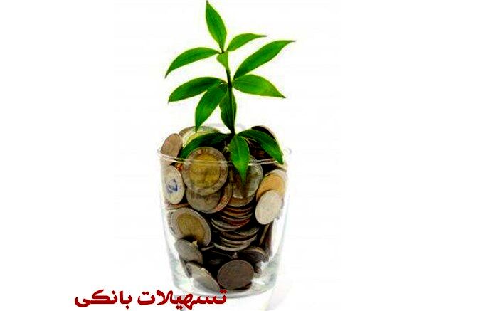 شفاف‌سازی ۱۹۵۵ هزار میلیارد تومان تسهیلات کلان بانکی
