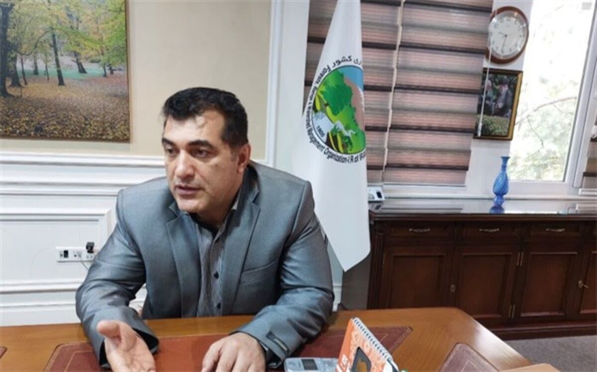 هدفگذاری برای ۲۰۰ هزار هکتار زراعت چوب در طرح یک میلیارد درخت