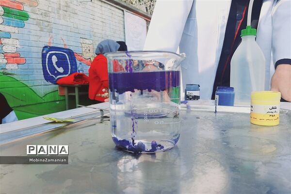 بزرگداشت روز آزمایشگاه در دبیرستان شاهد شهید حمامی