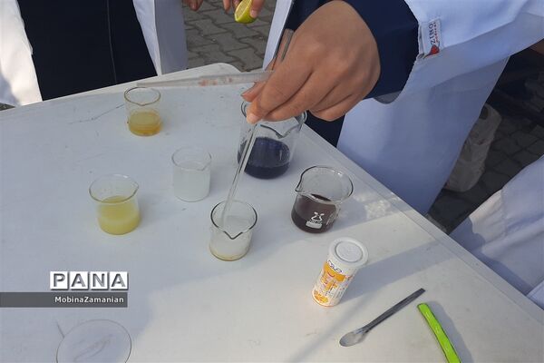 بزرگداشت روز آزمایشگاه در دبیرستان شاهد شهید حمامی