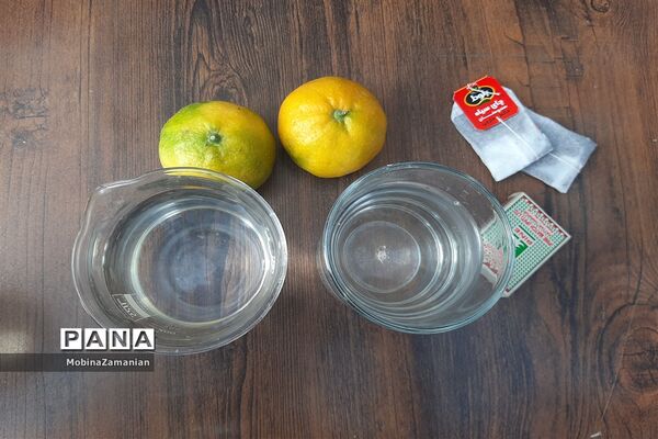 بزرگداشت روز آزمایشگاه در دبیرستان شاهد شهید حمامی