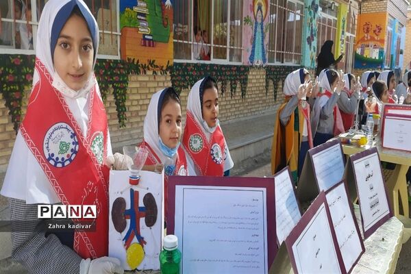 هفته پژوهشی در مدارس شهرستان آباده