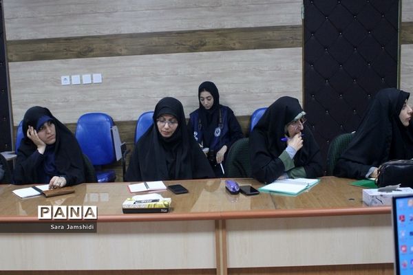 دوره کشوری تبیین برنامه های حوزه مشاوره  در بوشهر (2)