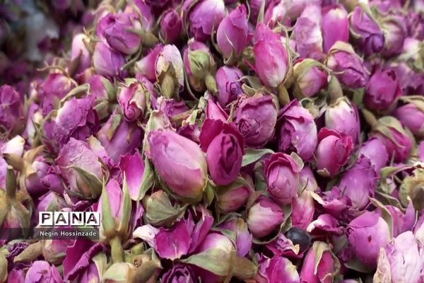 آستان مقدس امامزاده صالح(ع) تهران