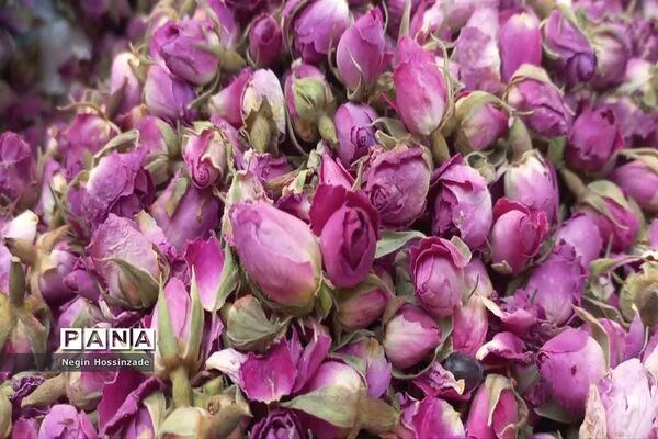 آستان مقدس امامزاده صالح(ع) تهران