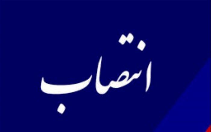 «عارف نوروزی» مدیرعامل شستا شد