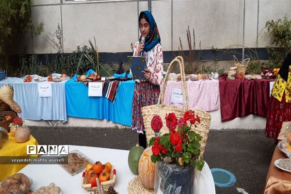 هفته مازندران در دبیرستان شاهد ساری