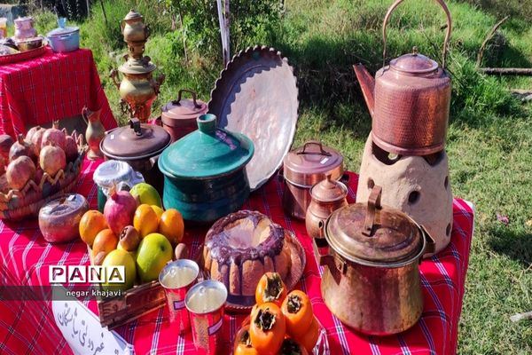 هفته ملی مازندران در دبستان شایستگان گلوگاه