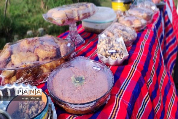 هفته ملی مازندران در دبستان شایستگان گلوگاه