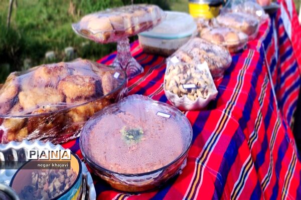 هفته ملی مازندران در دبستان شایستگان گلوگاه