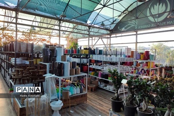 اولین جنگل استوایی کشور در شهرستان قرچک