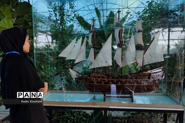اولین جنگل استوایی کشور در شهرستان قرچک