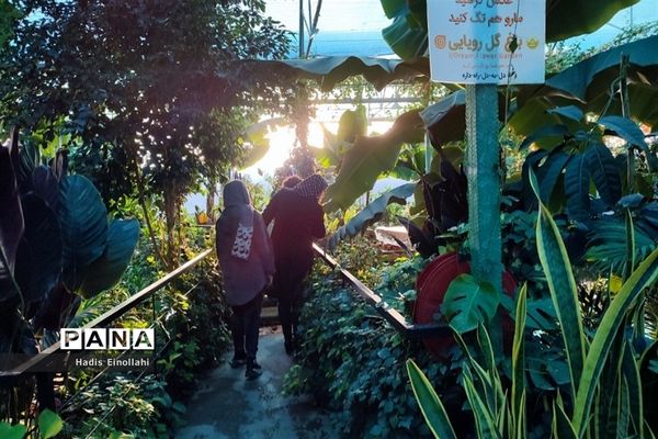 اولین جنگل استوایی کشور در شهرستان قرچک