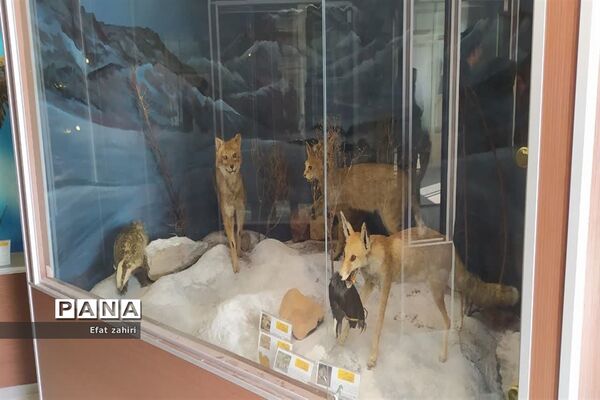 بازدید از پژوهش‌سرای شهید حجتی نجف‌آبادو برگزاری اولین جلسه مدیران سرقطب پژوهش‌سراهای استان در شهرستان نجف‌آباد