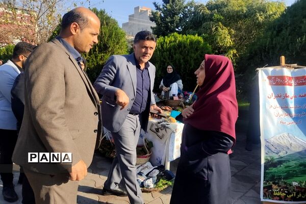 جشن هفته ملی مازندران در کانون فجر بابلسر