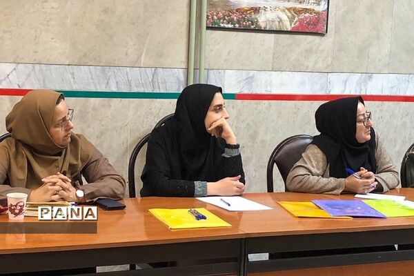 برگزاری کارگاه آموزشی ویژه معاونان پرورشی و رابطان پیشگیری در ناحیه 2 ری