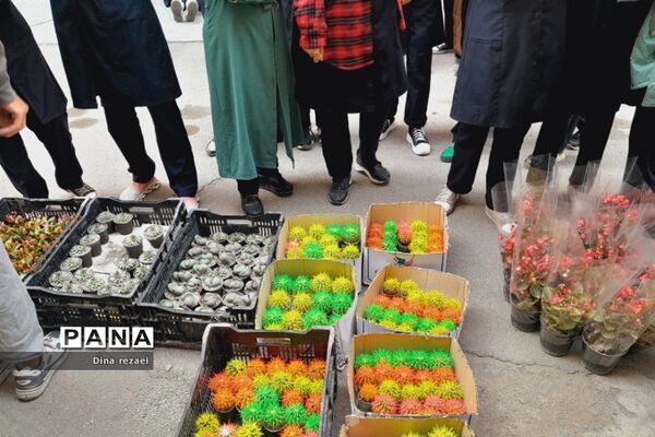 نمایشگاه گل و گیاه در مدرسه شهدای‌هسته‌ای قرچک