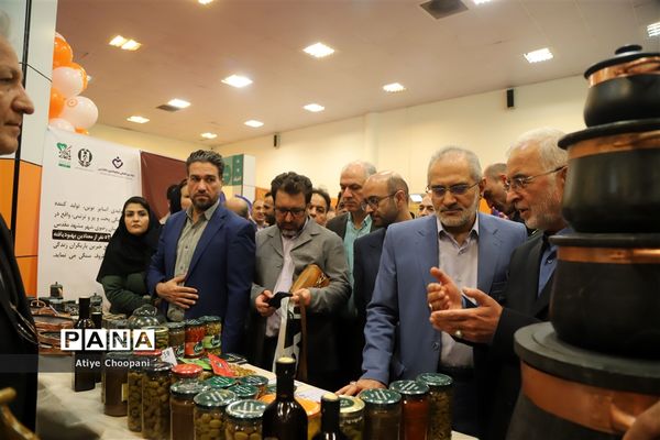 بازدید معاون پارلمانی رئیس جمهوری از نمایشگاه یاریگران زندگی