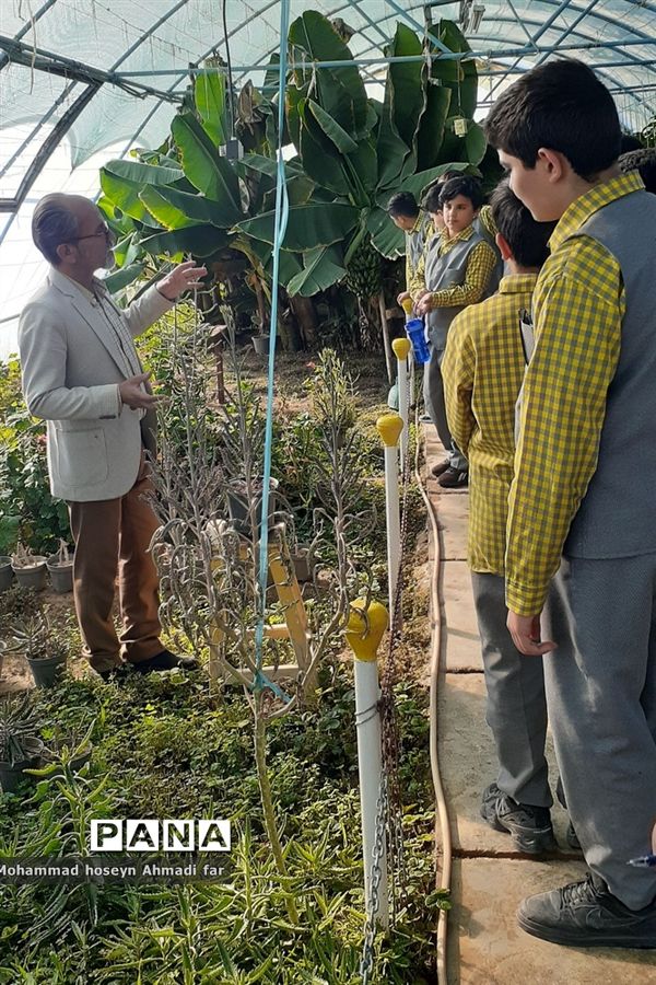 بازدید دانش‌آموزان دبستان پسرانه شهاب از گلخانه مرکز فنی و حرفه‌ای شماره ۱۷ کاشمر