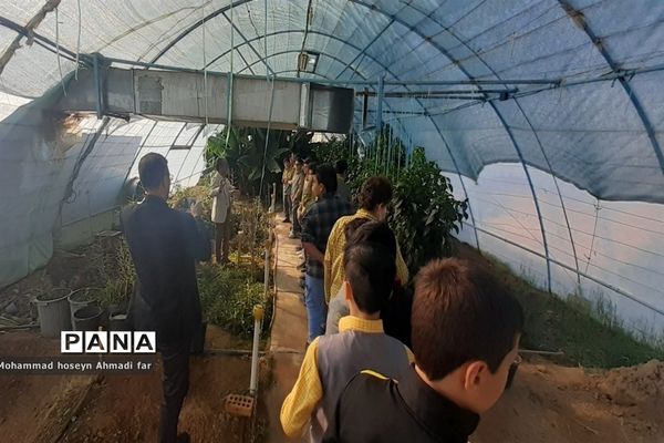 بازدید دانش‌آموزان دبستان پسرانه شهاب از گلخانه مرکز فنی و حرفه‌ای شماره ۱۷ کاشمر