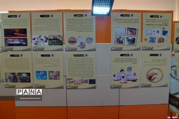 برگزاری نمایشگاه یاریگران زندگی