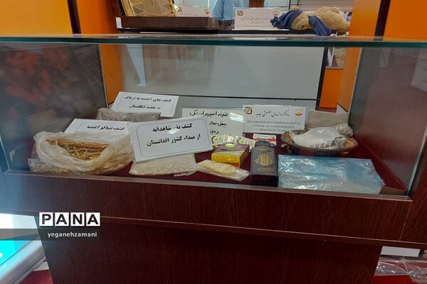 برگزاری نمایشگاه یاریگران زندگی