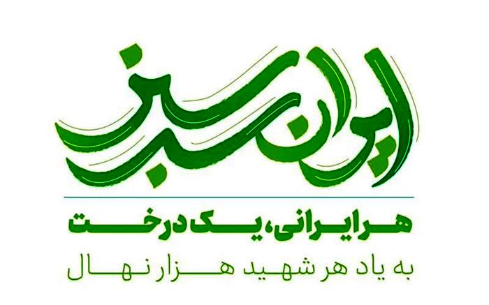 افتخار آفرینی دانش آموز درمیانی در پویش کشوری «ایران سرسبز»