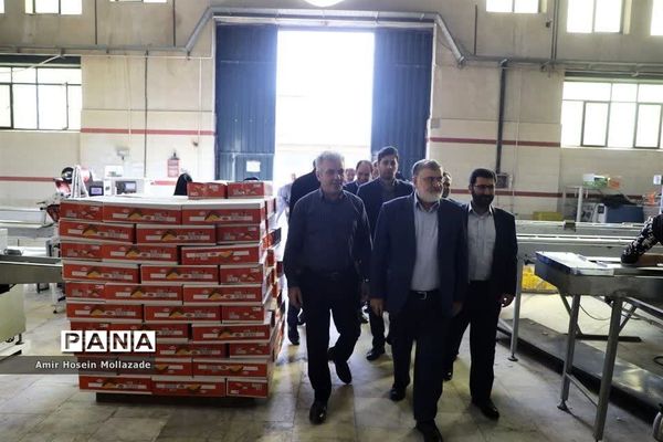 بازدید استاندار آذربایجان غربی از واحد های صنعتی