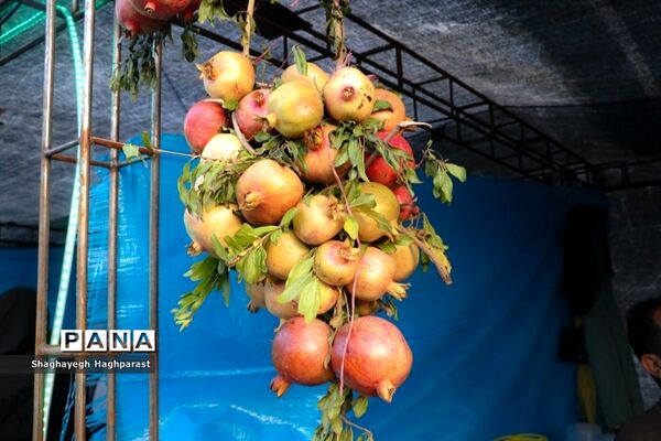 جشنواره یاقوت‌های سرخ فاروق
