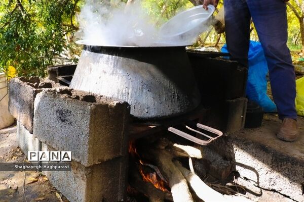 جشنواره یاقوت‌های سرخ فاروق