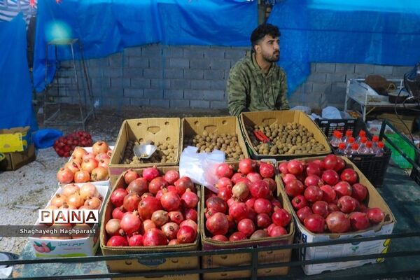 جشنواره یاقوت‌های سرخ فاروق