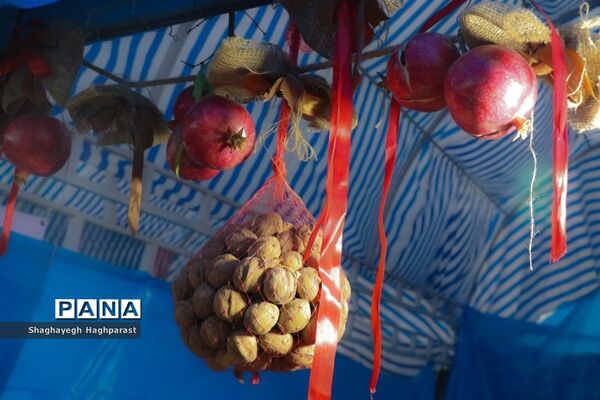 جشنواره یاقوت‌های سرخ فاروق