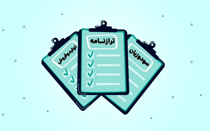 نگاهی از نزدیک به صورت‌های مالی 289 شرکت دولتی