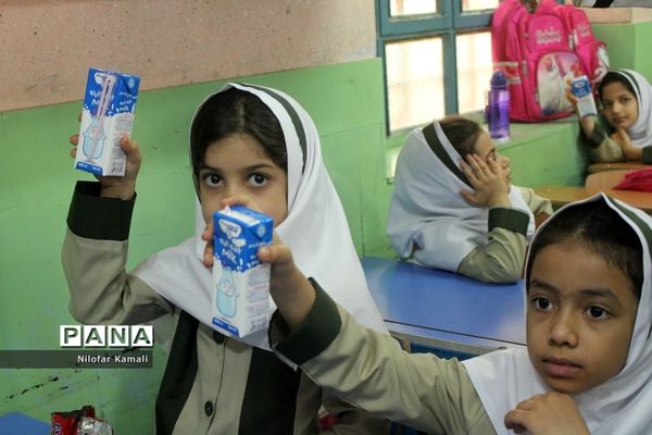 طرح توزیع شیر رایگان در مدارس استان بوشهر ( 2 )