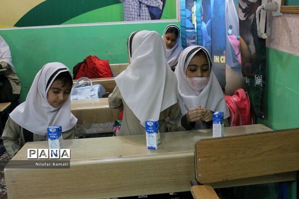 طرح توزیع شیر رایگان در مدارس استان بوشهر ( 2 )